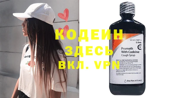 молекула духа Кулебаки