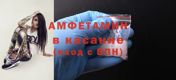молекула духа Кулебаки