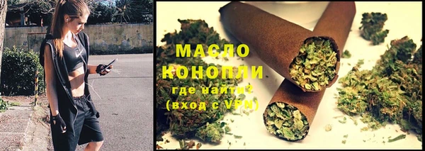 молекула духа Кулебаки