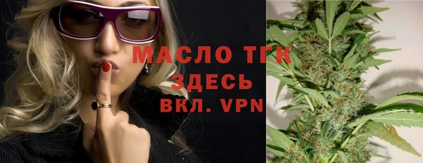 молекула духа Кулебаки